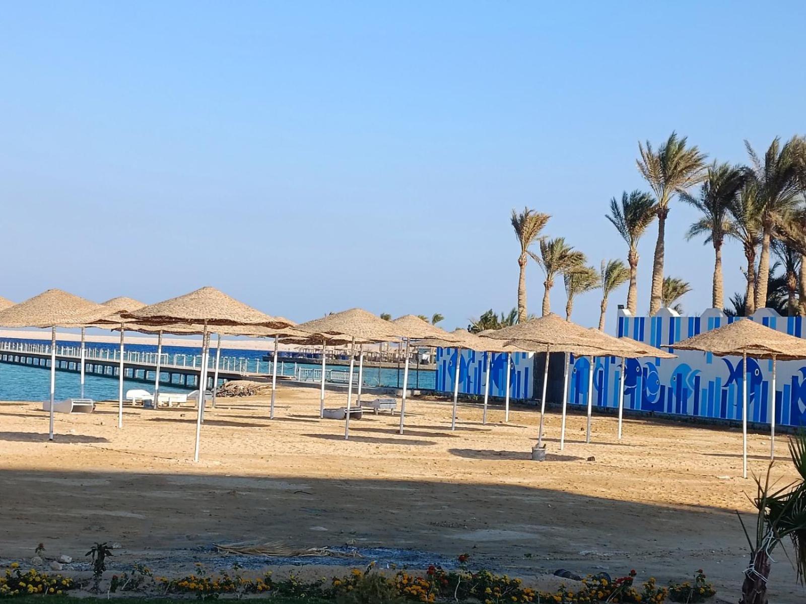 Appartement Coral Paradise Front Wifi *